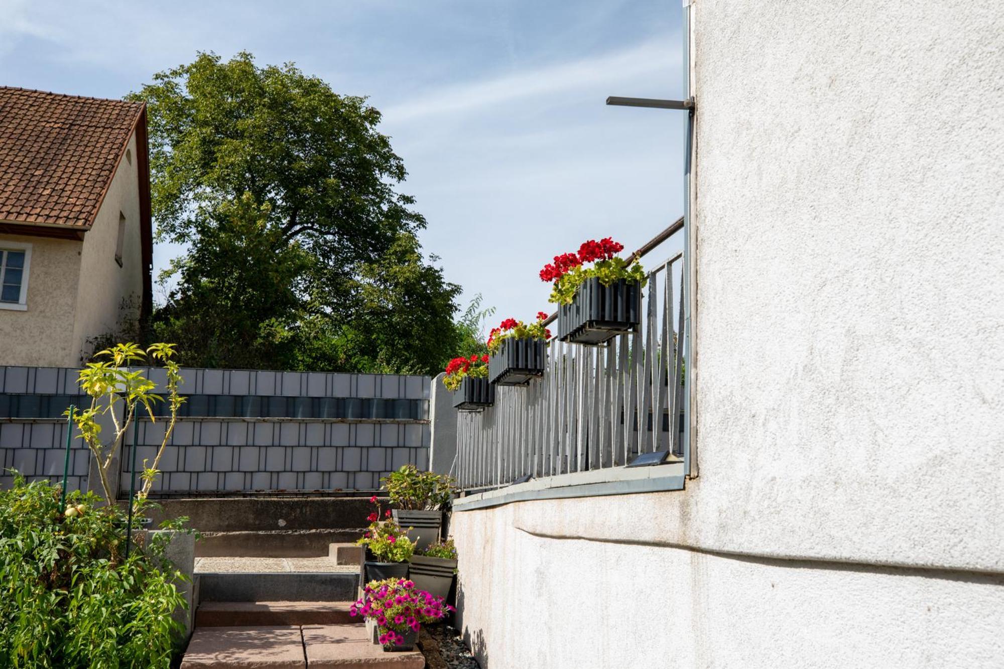 Hochrhein Ferienwohnung Albbruck Buitenkant foto