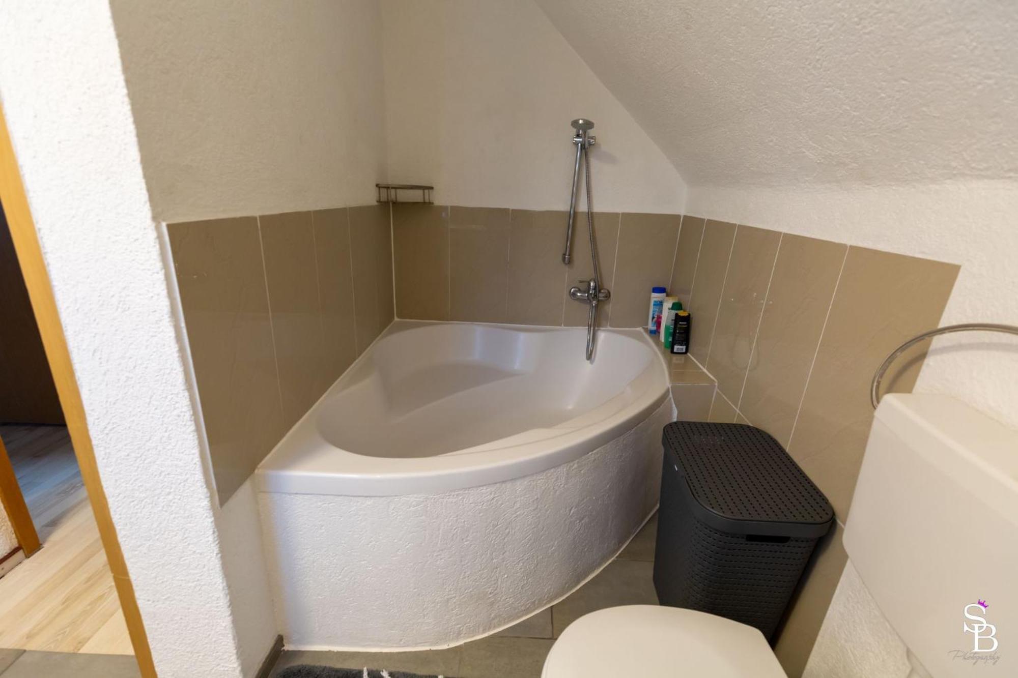 Hochrhein Ferienwohnung Albbruck Buitenkant foto