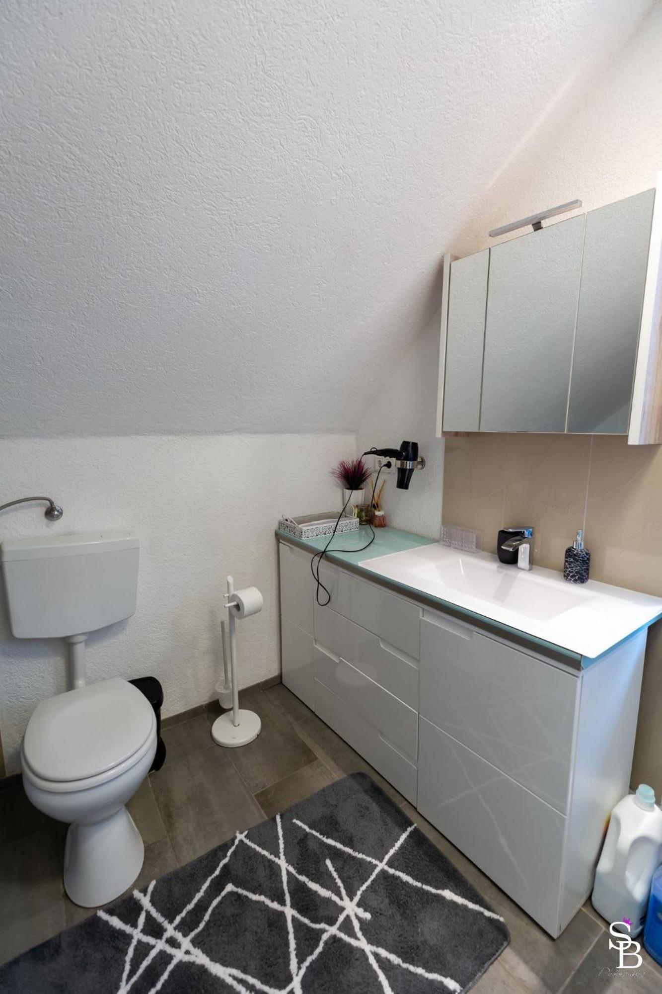 Hochrhein Ferienwohnung Albbruck Buitenkant foto